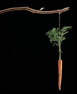 Imagen de una zanahoria colgando de un palo como incentivo para que tus empleados usen social media